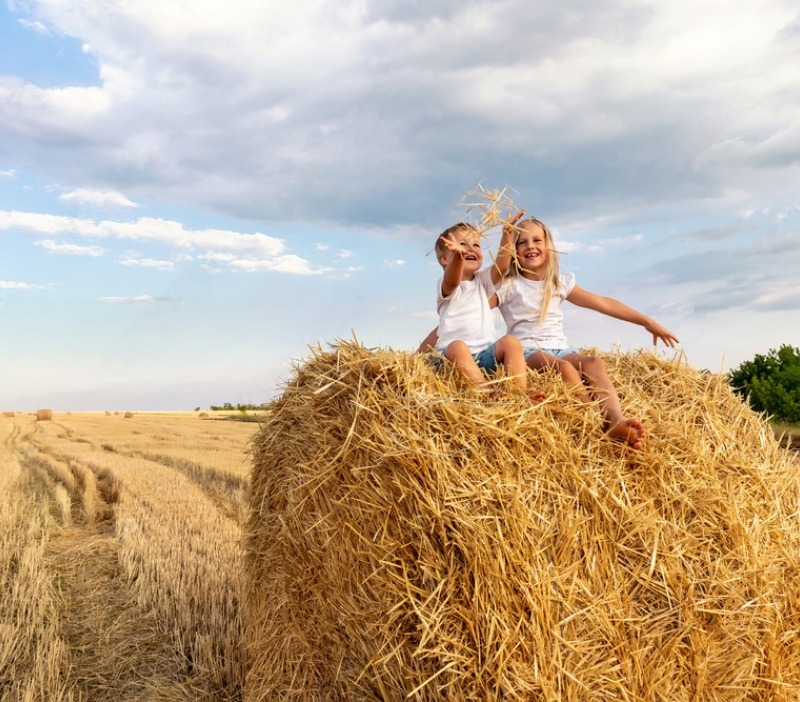 Життя на землі